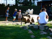 Jardin des Plants_DSCN0284